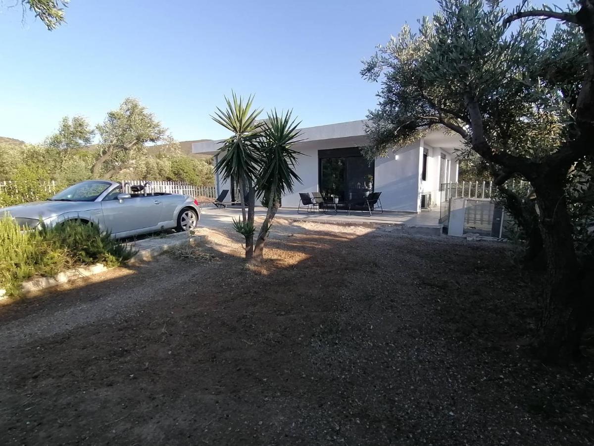 Greek Dream Homes Thimari Sounion Exterior photo